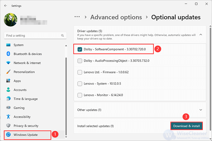 Select the drivers or other optional updates, and click the Download & install button.