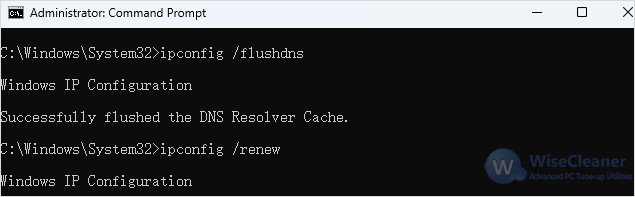 Flush DNS Cache and Reset TCP/IP